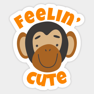 Feelin' Cute Sticker